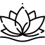 icône lotus